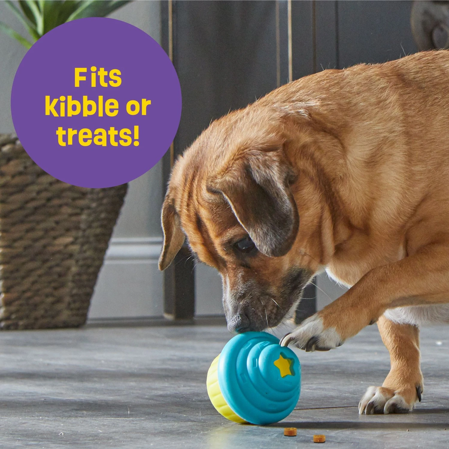 Brightkins Small Cupcake Treat Dispenser Dog Toy 7 Brightkins Small Cupcake Treat Dispenser Dog Toy - Image 5