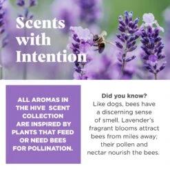 Project Hive Pet Company Hive Calming Lavender Scented Disc & Lick Mat Dog Toy, Purple 10 Project Hive Pet Company Hive Calming Lavender Scented Disc & Lick Mat Dog Toy, Purple -Pet Dog Supply Store 805998 PT4. AC SS1800 V1683567302