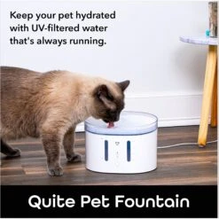 Geeni PetConnect UV Sterilized Circulating Water Smart Dog & Cat Fountain, 2-L 14 Geeni PetConnect UV Sterilized Circulating Water Smart Dog & Cat Fountain, 2-L -Pet Dog Supply Store 811790 PT4. AC SS1800 V1688759852