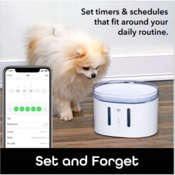 Geeni PetConnect UV Sterilized Circulating Water Smart Dog & Cat Fountain, 2-L 15 Geeni PetConnect UV Sterilized Circulating Water Smart Dog & Cat Fountain, 2-L -Pet Dog Supply Store 811790 PT5. AC SS1800 V1688761211