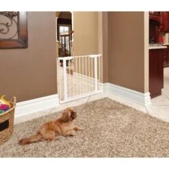 MidWest ICrate Fold & Carry Single Door Collapsible Wire Dog Crate & MidWest Steel Pet Gate 17 MidWest ICrate Fold & Carry Single Door Collapsible Wire Dog Crate & MidWest Steel Pet Gate -Pet Dog Supply Store 815134 PT6. AC SS1800 V1679500871