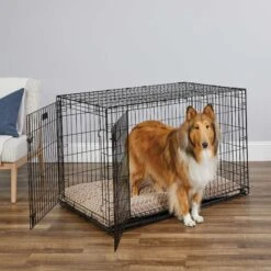 MidWest ICrate Fold & Carry Double Door Collapsible Wire Dog Crate & MidWest Steel Pet Gate -Pet Dog Supply Store 815238 PT2. AC SS1800 V1679500811