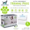 Pounce + Fetch Ultra Absorbent Dog Training Pads -Pet Dog Supply Store 821510 MAIN. AC SS1800 V1681249078