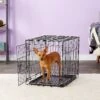 Carlson Pet Products Secure & Compact Single Door Collapsible Wire Dog Crate -Pet Dog Supply Store 82471 MAIN. AC SS1800 V1569015804