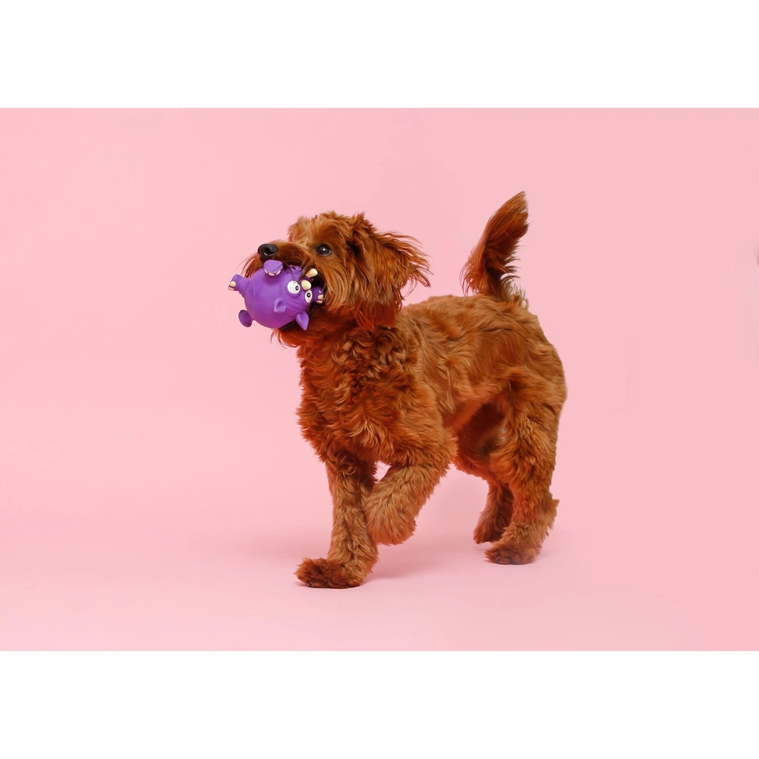 Hartz Zoo Balloons Squeaky Latex Dog Toy, Character Varies 6 Hartz Zoo Balloons Squeaky Latex Dog Toy, Character Varies - Image 4