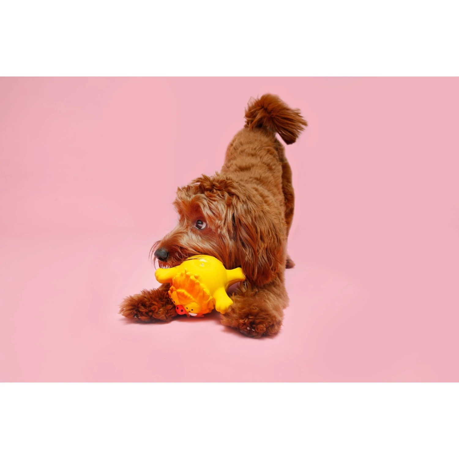 Hartz Zoo Balloons Squeaky Latex Dog Toy, Character Varies 8 Hartz Zoo Balloons Squeaky Latex Dog Toy, Character Varies - Image 6