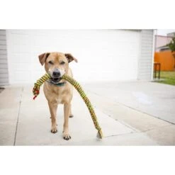 Mammoth SnakeBiter Snake Rope Dog Toy, Color Varies -Pet Dog Supply Store 83152 PT2. AC SS1800 V1633020404