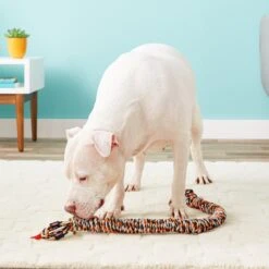 Mammoth SnakeBiter Snake Rope Dog Toy, Color Varies -Pet Dog Supply Store 83152 PT3. AC SS1800 V1633022487