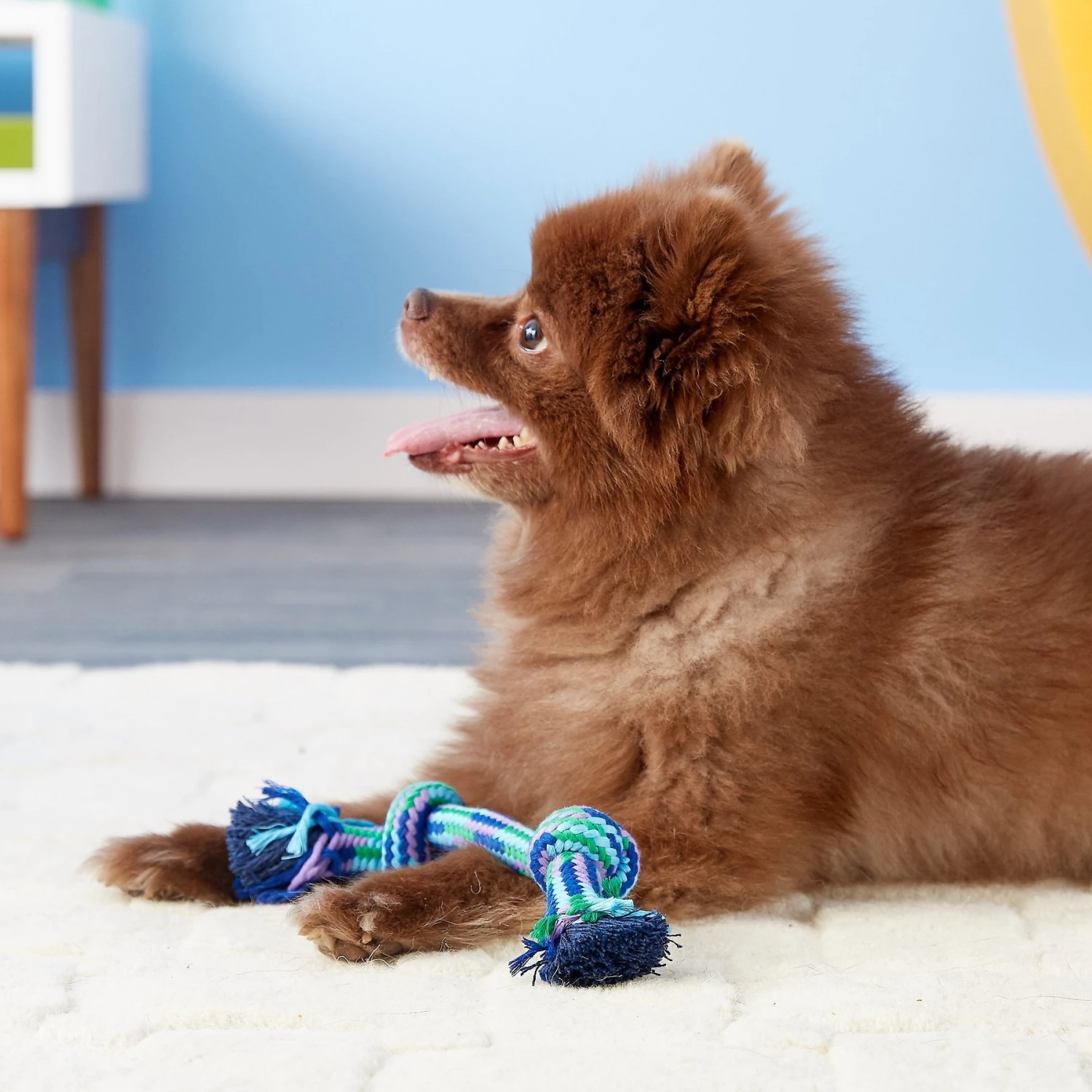 Mammoth Braidys 2 Knot Rope Bone For Dogs, Color Varies 4 Mammoth Braidys 2 Knot Rope Bone For Dogs, Color Varies - Image 2