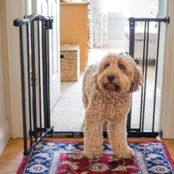 MyPet Windsor Arch Pet Gate For Dogs & Cats 10 MyPet Windsor Arch Pet Gate For Dogs & Cats -Pet Dog Supply Store 83472 PT2. AC SS1800 V1624603073