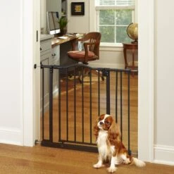 MyPet Windsor Arch Pet Gate For Dogs & Cats 13 MyPet Windsor Arch Pet Gate For Dogs & Cats -Pet Dog Supply Store 83472 PT5. AC SS1800 V1624611470