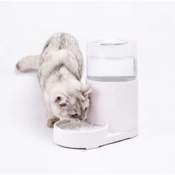 Hanamya Automatic Water Dispenser With 3 Liter Capacity Dog & Cat Waterer, White 7 Hanamya Automatic Water Dispenser With 3 Liter Capacity Dog & Cat Waterer, White -Pet Dog Supply Store 838830 PT2. AC SS1800 V1682371270