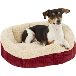 Aspen Pet Self-Warming Bolster Cat & Dog Bed, Warm Spice/Cream -Pet Dog Supply Store 83889 PT3. AC SS1800 V1566315440
