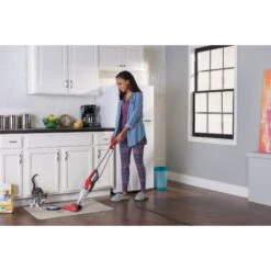 Dirt Devil Simpli-Stik Plus Dog & Cat Stain Remover, Red -Pet Dog Supply Store 842742 PT3. AC SS1800 V1682534980