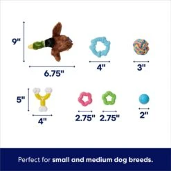 Frisco Forest Friends Plush, Rope & TPR Variety Pack Dog Toy -Pet Dog Supply Store 843534 PT2. AC SS1800 V1693411070
