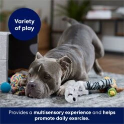 Frisco Forest Friends Plush, Rope & TPR Variety Pack Dog Toy -Pet Dog Supply Store 843534 PT3. AC SS1800 V1693411070