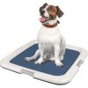 IRIS USA Non-skid Dog Plastic Training Pad Holder -Pet Dog Supply Store 846670 MAIN. AC SS1800 V1683834928