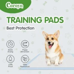 COCOYO Best Value Dog Training Pad, 22-in X 22-in, 30 Count -Pet Dog Supply Store 846774 PT3. AC SS1800 V1694726713