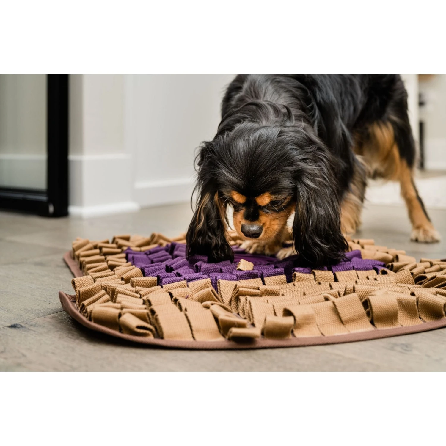 Injoya PB & J Cat & Dog Snuffle Mat, Brown, Medium 4 Injoya PB & J Cat & Dog Snuffle Mat, Brown, Medium - Image 2