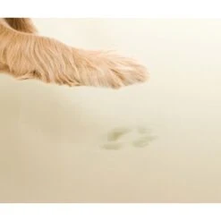 Friends Forever Harper Orthopedic Couch Bolster Sofa With Removable Cover Cat & Dog Bed, Grey -Pet Dog Supply Store 851342 PT4. AC SS1800 V1683836274