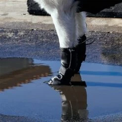 Canada Pooch Waterproof Dog Rain Boots, Black -Pet Dog Supply Store 857414 PT4. AC SS1800 V1685724149