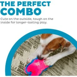 Outward Hound Invincibles Minis Squeaky Stuffing-Free Plush Dog Toy -Pet Dog Supply Store 85905 PT1. AC SS1800 V1636515983