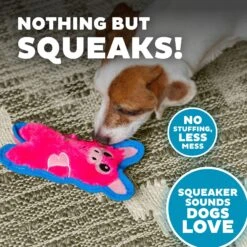 Outward Hound Invincibles Minis Squeaky Stuffing-Free Plush Dog Toy -Pet Dog Supply Store 85905 PT3. AC SS1800 V1636517562