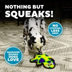 Outward Hound Invincibles Geckos Squeak Dog Toy 13 Outward Hound Invincibles Geckos Squeak Dog Toy -Pet Dog Supply Store 85910 PT3. AC SS1800 V1636512218