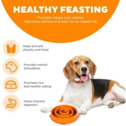 Outward Hound Fun Feeder Interactive Dog Bowl, Orange -Pet Dog Supply Store 85929 PT3. AC SS1800 V1694440099