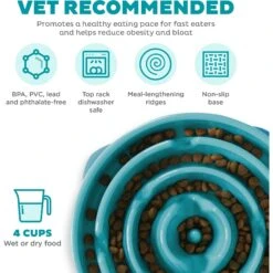 Outward Hound Non-Skid Plastic Slow Feeder Interactive Dog Bowl -Pet Dog Supply Store 85930 PT2. AC SS1800 V1694286712