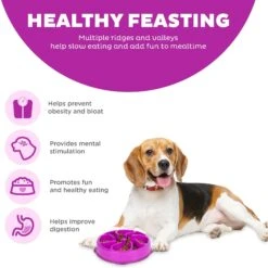 Outward Hound Fun Feeder Interactive Dog Bowl, Purple 14 Outward Hound Fun Feeder Interactive Dog Bowl, Purple -Pet Dog Supply Store 85933 PT3. AC SS1800 V1694440055