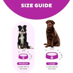 Outward Hound Fun Feeder Interactive Dog Bowl, Purple 15 Outward Hound Fun Feeder Interactive Dog Bowl, Purple -Pet Dog Supply Store 85933 PT4. AC SS1800 V1694286100