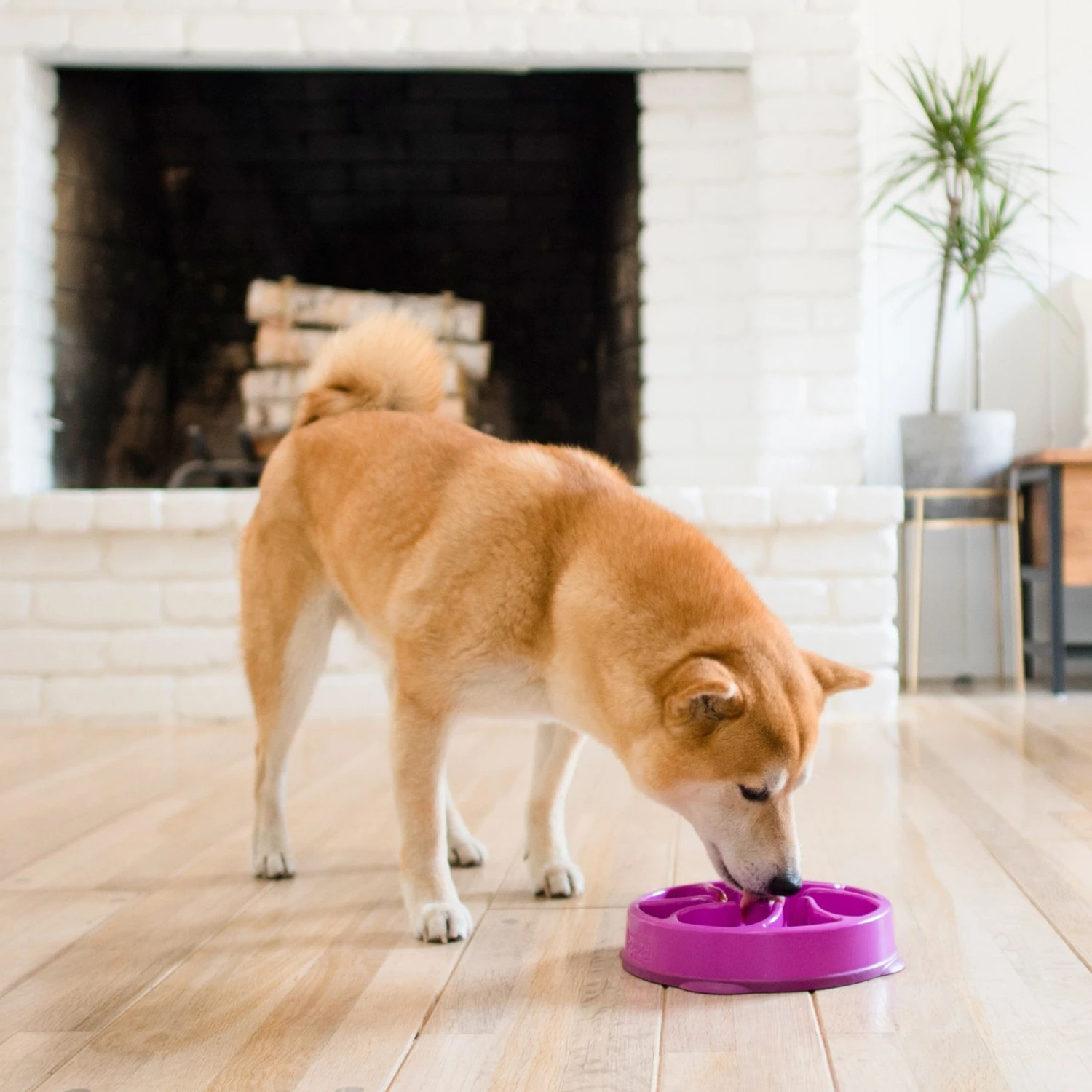 Outward Hound Fun Feeder Interactive Dog Bowl, Purple 8 Outward Hound Fun Feeder Interactive Dog Bowl, Purple - Image 6