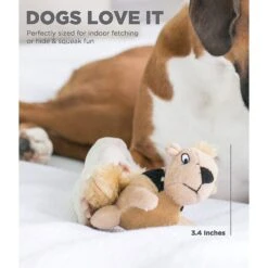 Outward Hound Replacement Squirrels For Hide A Squirrel Dog Toy -Pet Dog Supply Store 86012 PT6. AC SS1800 V1589922700