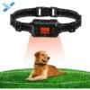 Petdiary GPS Wireless Fence System Dog Tracker, Black, Medium