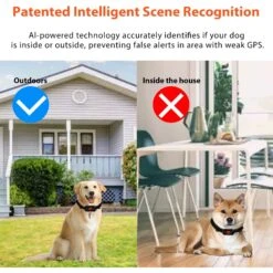 Petdiary GPS Wireless Fence System Dog Tracker, Black, Medium -Pet Dog Supply Store 867398 PT6. AC SS1800 V1689630633