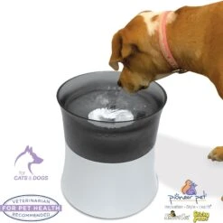 Pioneer Pet Vortex Elevated Drinking Dog Fountain, Gray, Medium -Pet Dog Supply Store 873118 PT3. AC SS1800 V1686334835