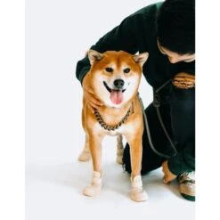 RIFRUF Caesar 1 Dog Boot -Pet Dog Supply Store 884238 PT4. AC SS1800 V1699456308