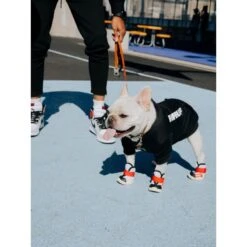 RIFRUF Caesar 1S Dog Boot, Borough 9 RIFRUF Caesar 1S Dog Boot, Borough -Pet Dog Supply Store 884342 PT2. AC SS1800 V1699652963