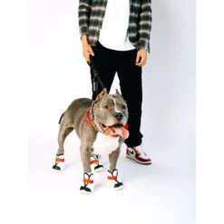 RIFRUF Caesar 1S Dog Boot, Borough 10 RIFRUF Caesar 1S Dog Boot, Borough -Pet Dog Supply Store 884342 PT3. AC SS1800 V1699652969