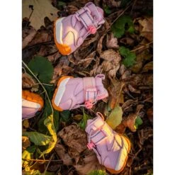 RIFRUF Apollo 1 Dog Boot -Pet Dog Supply Store 884742 PT2. AC SS1800 V1699651507