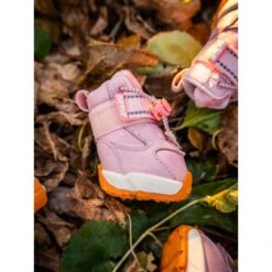 RIFRUF Apollo 1 Dog Boot -Pet Dog Supply Store 884742 PT3. AC SS1800 V1699651507