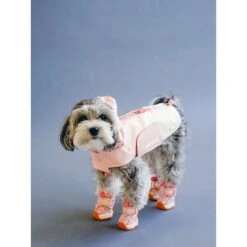 RIFRUF Apollo 1 Dog Boot -Pet Dog Supply Store 884742 PT4. AC SS1800 V1699460504