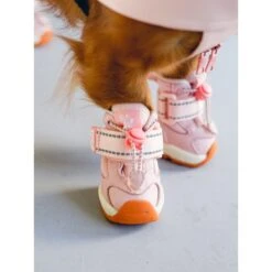 RIFRUF Apollo 1 Dog Boot -Pet Dog Supply Store 884742 PT5. AC SS1800 V1699651506