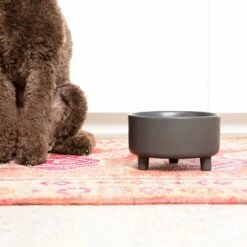 Waggo Uplift Elevated Ceramic Cat & Dog Bowl 12 Waggo Uplift Elevated Ceramic Cat & Dog Bowl -Pet Dog Supply Store 889142 PT3. AC SS1800 V1698094193