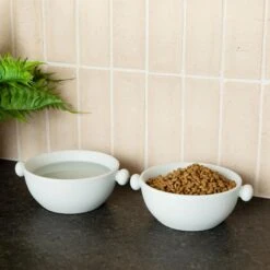 Waggo Bobble Ceramic Cat & Dog Bowl, Medium 8 Waggo Bobble Ceramic Cat & Dog Bowl, Medium -Pet Dog Supply Store 889206 PT2. AC SS1800 V1698346578