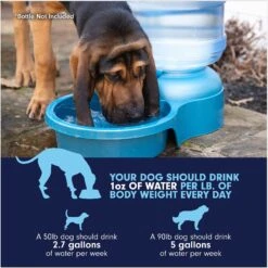 Petmate Big Blue Outdoor Dog Water Bowl, 5-gal 16 Petmate Big Blue Outdoor Dog Water Bowl, 5-gal -Pet Dog Supply Store 891350 PT6. AC SS1800 V1688579736