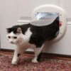 PetSafe 4-Way Locking Cat Door, Up To 25-lbs 2 PetSafe 4-Way Locking Cat Door, Up To 25-lbs -Pet Dog Supply Store 89196 MAIN. AC SS1800 V1628116980