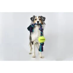 Mammoth Color 3 Knot Rope Tug With Tennis Ball For Dogs, Color Varies 12 Mammoth Color 3 Knot Rope Tug With Tennis Ball For Dogs, Color Varies -Pet Dog Supply Store 89513 PT3. AC SS1800 V1633022259