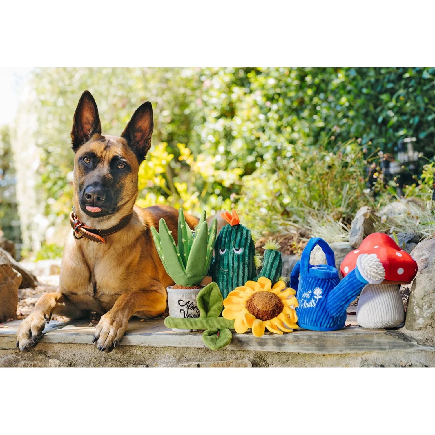 P.L.A.Y. Pet Lifestyle And You Blooming Buddies Set Plush Squeaky Dog Toy, 5 Count 4 P.L.A.Y. Pet Lifestyle And You Blooming Buddies Set Plush Squeaky Dog Toy, 5 Count - Image 2